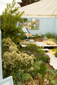 Sandringham Flower Show 4